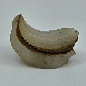 Incense Holder - Agate Fossil